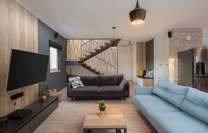 TV, fireplace, DVD player - Gorgeous home in Sicane (Sicane)