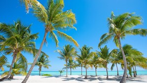 A beach with palm trees and a clear blue sky. - Charming Studio for 4 people with balcony, Wi-Fi, AC & pool access in Cap Cana (Punta Cana)