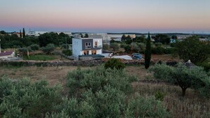Une maison moderne à deux étages, dotée d’un balcon, entourée d’oliviers et d’un mur en pierre.