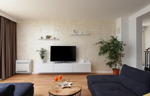 Fernseher, Kamin, DVD-Player