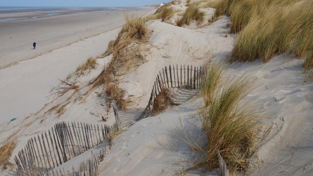 Une plage de sable avec des dunes et une clôture en bois.