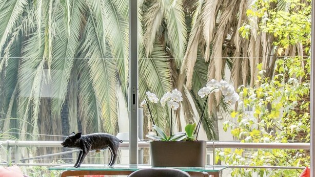 Ein modernes Zimmer mit großem Fenster und Blick auf einen tropischen Garten.