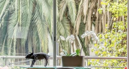 Two High-End Balconied Apartments in Exclusive Roma Norte - Condesa