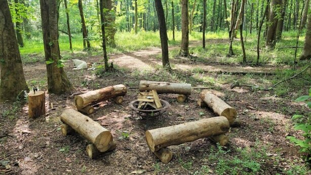 A forest clearing with a central fire pit surrounded by logs.