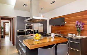 Fridge, oven, stovetop, dishwasher