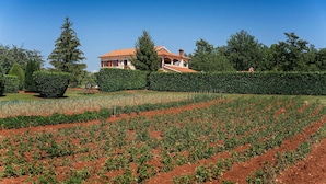 Ein Haus mit rotem Ziegeldach, umgeben von gepflegten Hecken und einem Gemüsegarten.