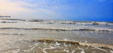 Beach. Heart of Port A! Beach-Boat-Fish-Shop-Parking-Golf Cart Zone-Fenced-Pets OK