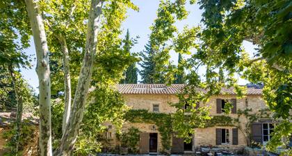 The House in Provence