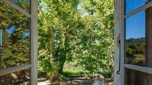 Una stanza con un'ampia finestra, un sentiero in pietra e vegetazione all'esterno.