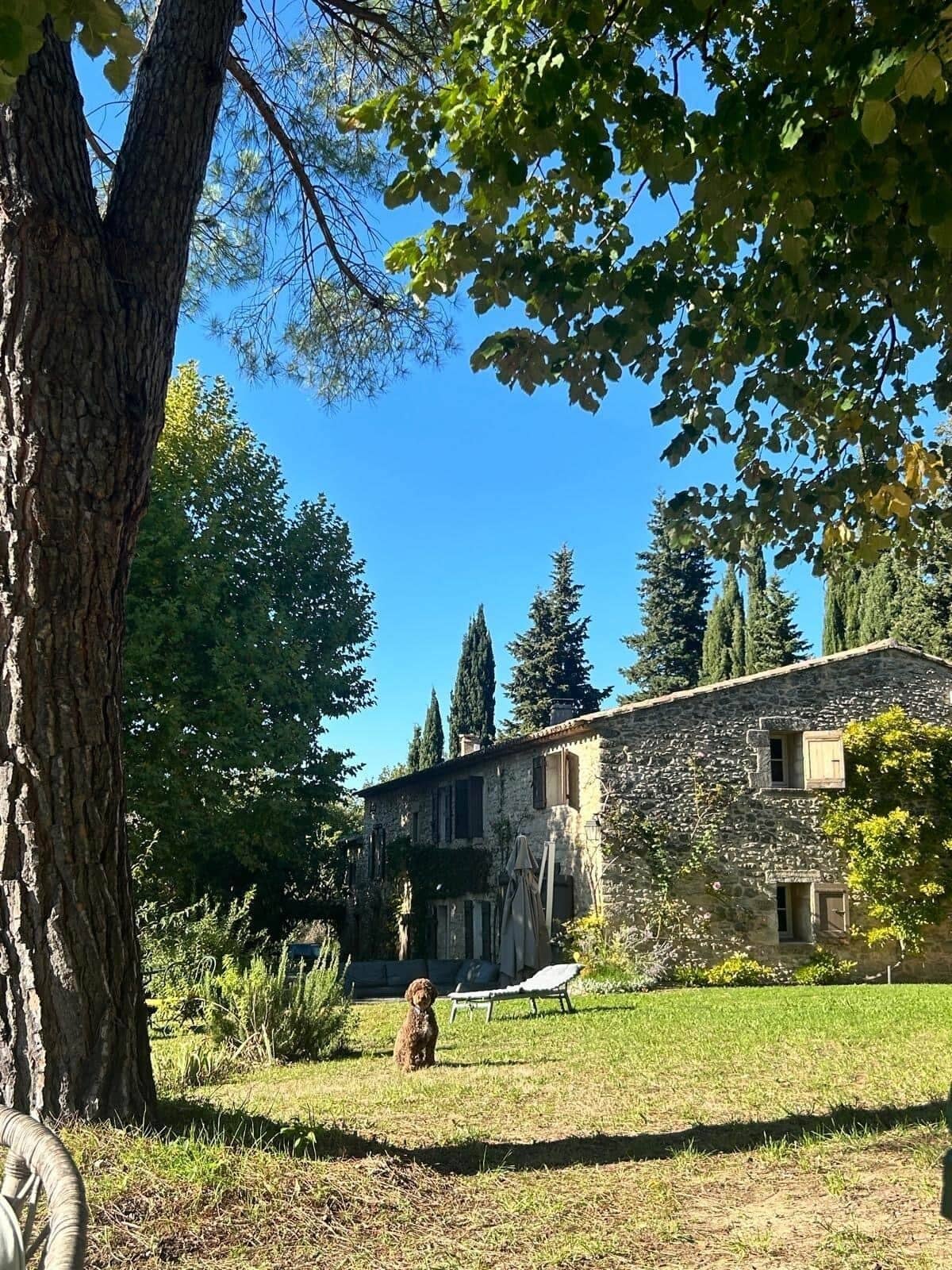 Esterni