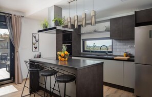 Fridge, oven, stovetop, dishwasher