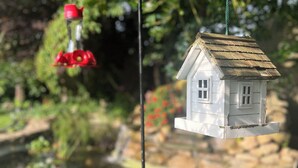 Un comedero para pájaros colgado por una varilla metálica, con un estanque y follaje al fondo.