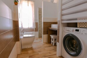 Shower, hair dryer, bidet, towels