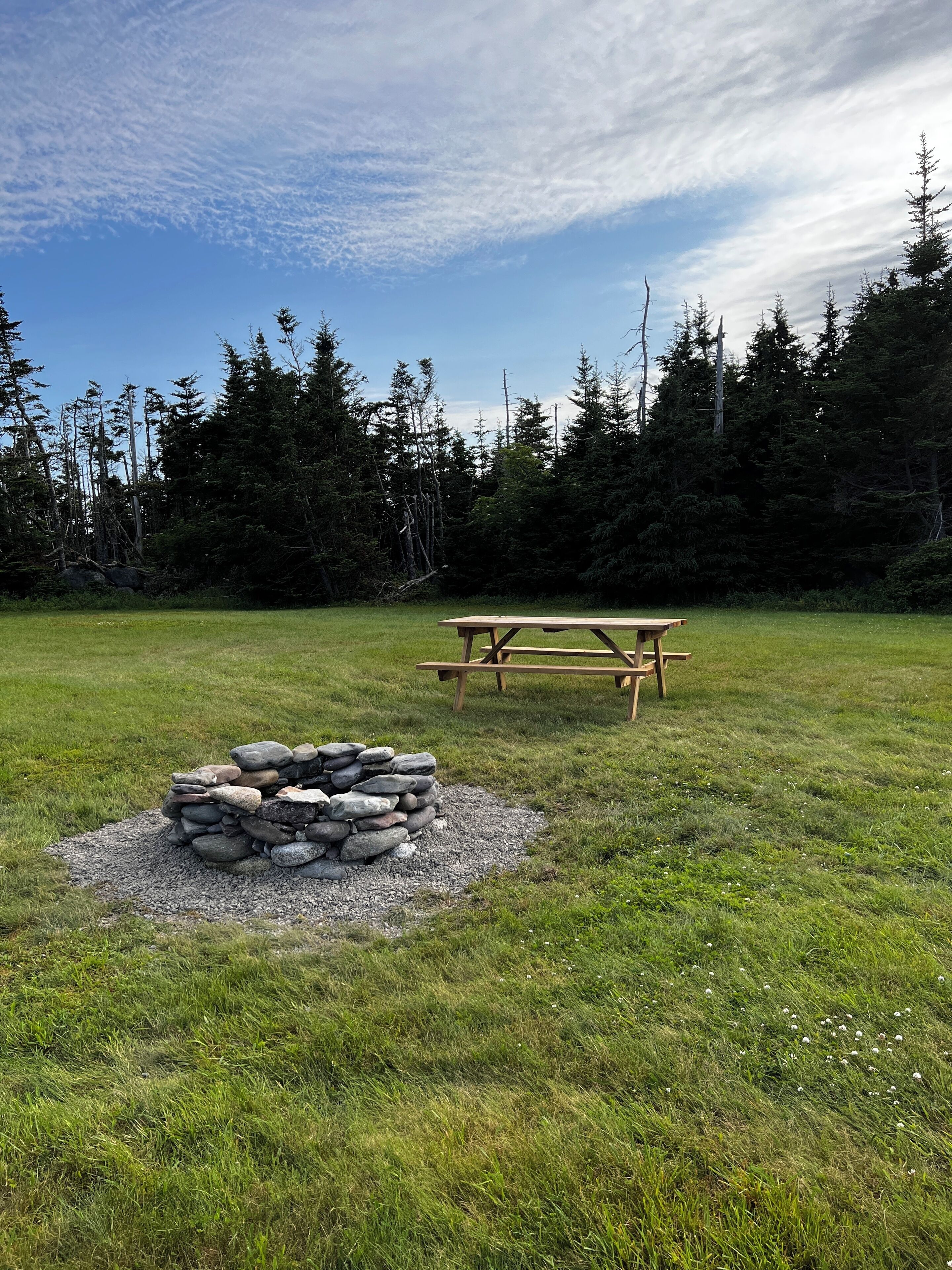 Een picknicktafel en een vuurkuil van steen in een grasveld, met bomen op de achtergrond.