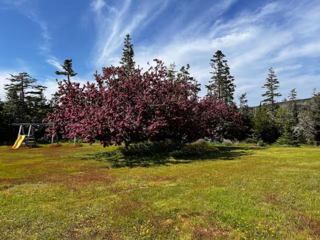 Un champ verdoyant avec un grand arbre aux fleurs roses, une aire de jeux avec un toboggan, et des arbres à feuilles persistantes en arrière-plan.