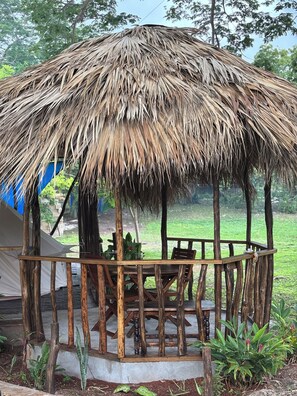 تناول الطعام بالخارج