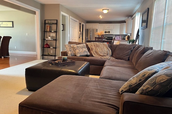 Televisor intel·ligent i llar de foc