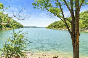 Un lac paisible, bordé d’une végétation luxuriante et d’arbres.