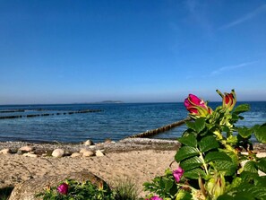 Imagen sin descripción, 3 de 29, botón