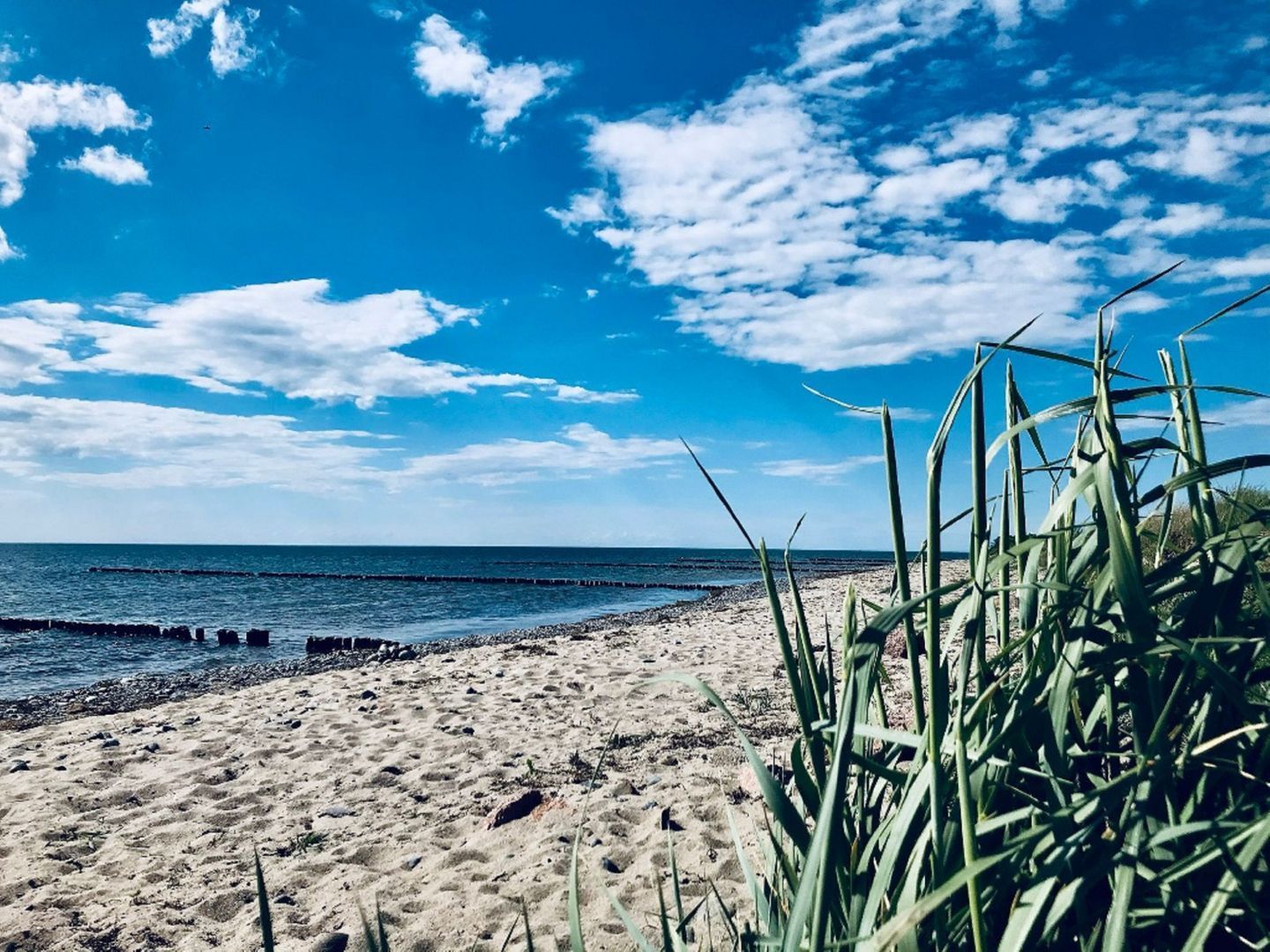 Une plage avec un ciel dégagé et une mer calme.
