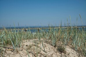 海滩