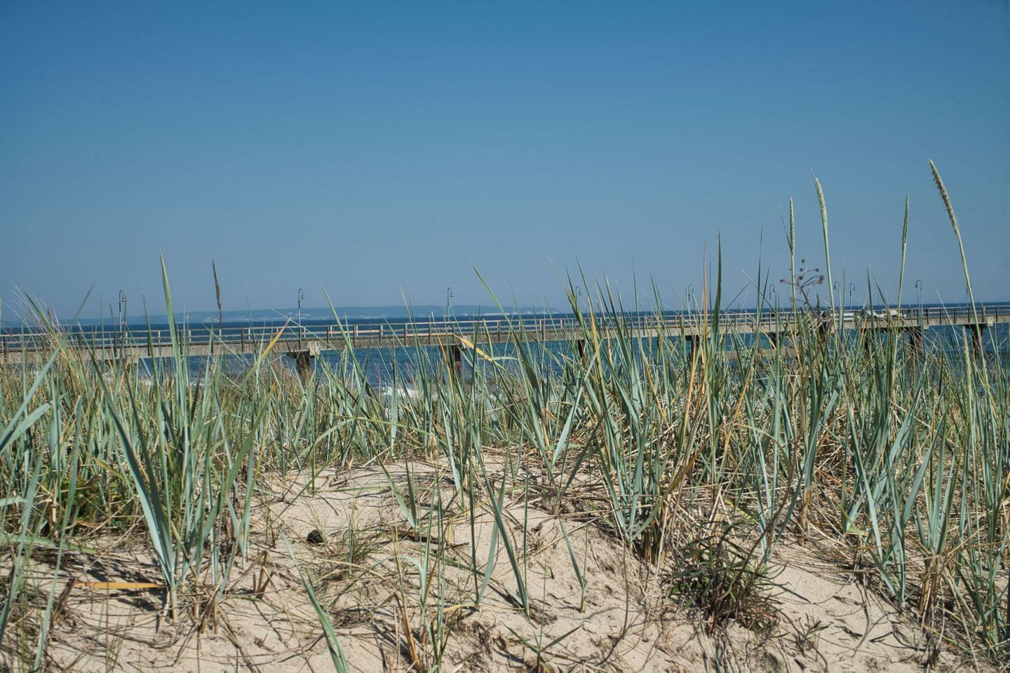 A beach with tall grass and a wooden pier extending into the water.