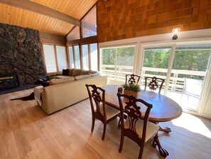 Smart TV, fireplace, books
