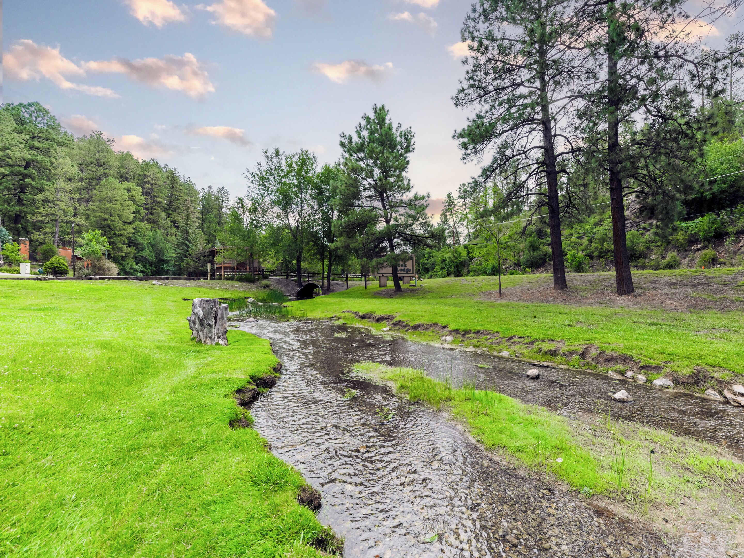 A natural landscape with a small stream, grassy areas, and trees.