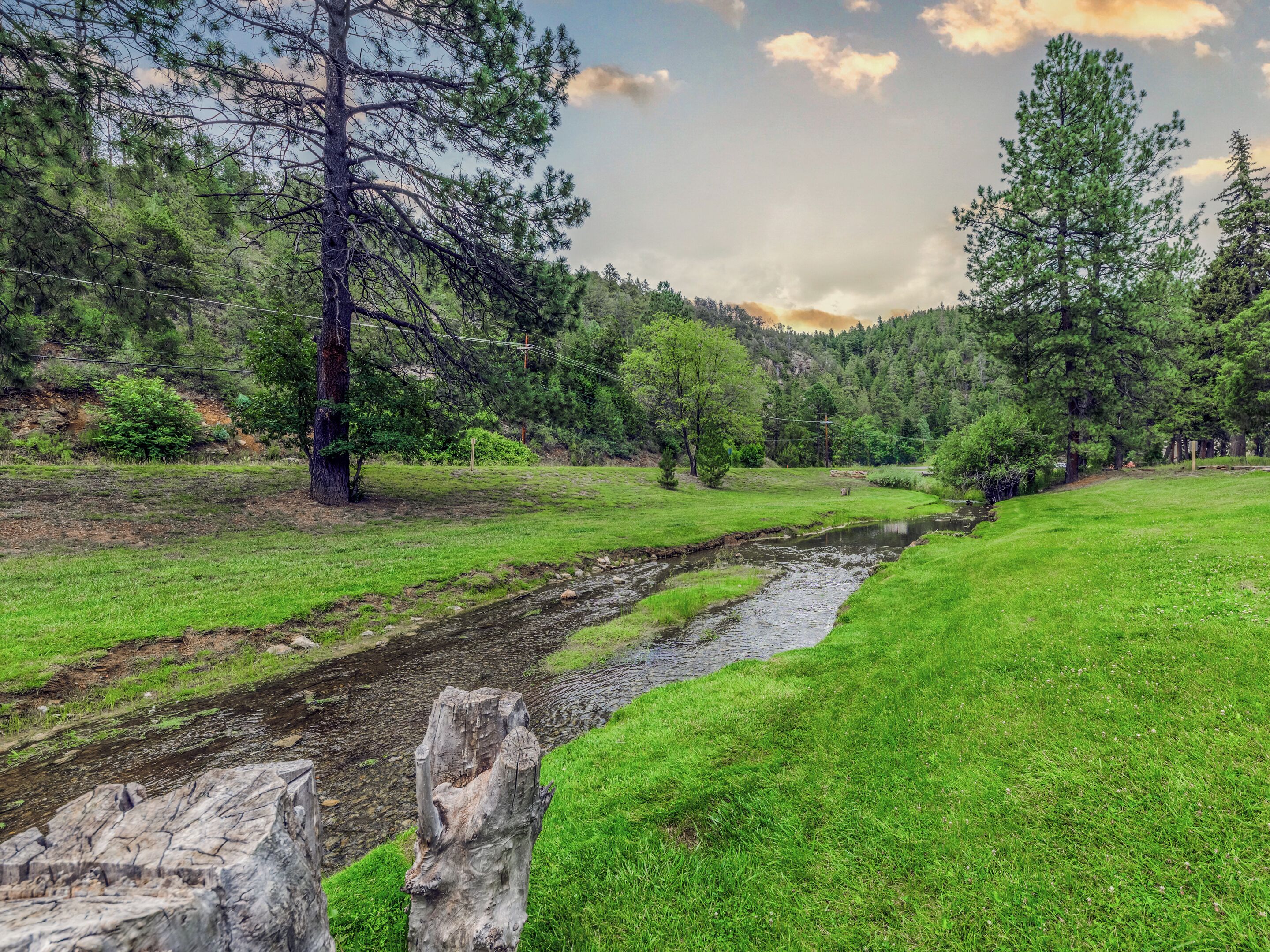 Un paysage naturel comprenant un ruisseau, des zones herbeuses et des arbres.