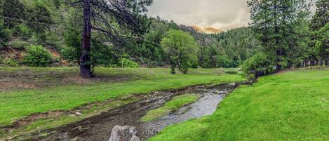 Un paysage naturel comprenant un ruisseau, des zones herbeuses et des arbres.