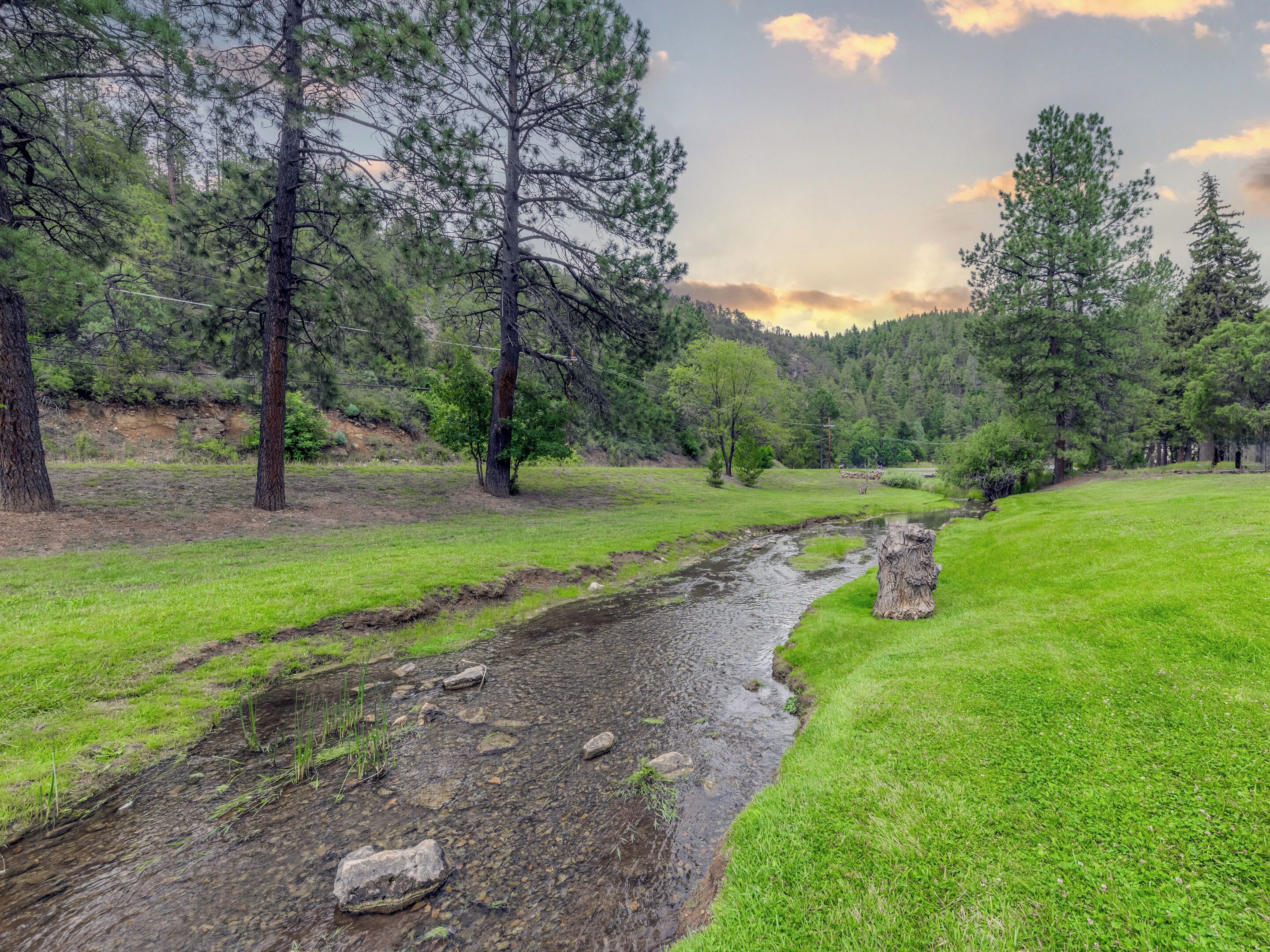 A natural landscape with a stream, grassy areas, and trees.