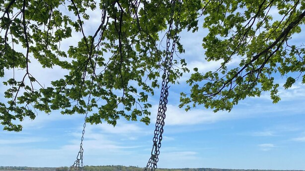 Una cadira de fil a l'ombra d'un arbre, a la vora d'un llac amb un moll al fons.