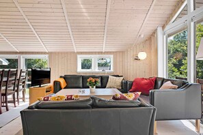 Fireplace, DVD player - Summer house in beautiful nature in Brunshuse (Haarby)