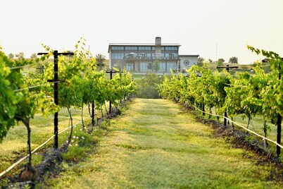  Enjoy the tranquility of the surroundings in the comfort of your private villa.