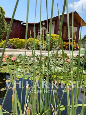 Hochwertige Bettwaren, individuell eingerichtet