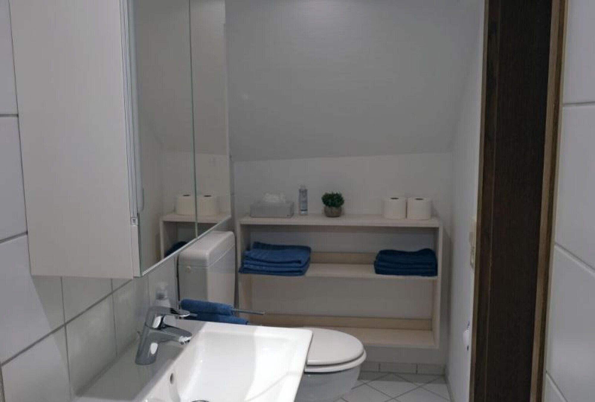 Ein kleines Badezimmer mit einem weißen Waschbecken, einer Toilette und einem Spiegel. Regale mit gefalteten Handtüchern und einer kleinen Topfpflanze.
