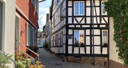 Studio Apartment "Scheffelhaus" with Wi-Fi