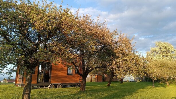 Une maison en bois d’un seul étage, avec un petit garage attenant, entourée d’une cour verdoyante et d’arbres.