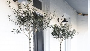 Een zwarte deur met een witte veranda, twee planten in potten en een vloer met een patroon.