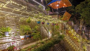 Un jardin extérieur à plusieurs niveaux, agrémenté d’escaliers, de plantes en pot et de jardinières suspendues.