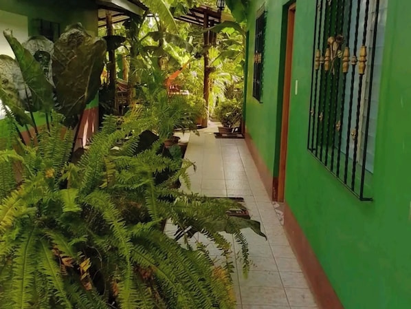 Exterior - Hostel Coco's (Moyagalpa)