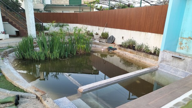 Una piscina con borde de baldosas, rodeada de plantas y una valla de madera.