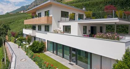 Apartment "Weinreichhof Laaser Spitz" with Mountain View, Private Terrace & Wi-Fi