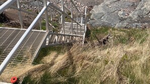 Een trap die naar een strand leidt, met uitzicht op de oceaan.