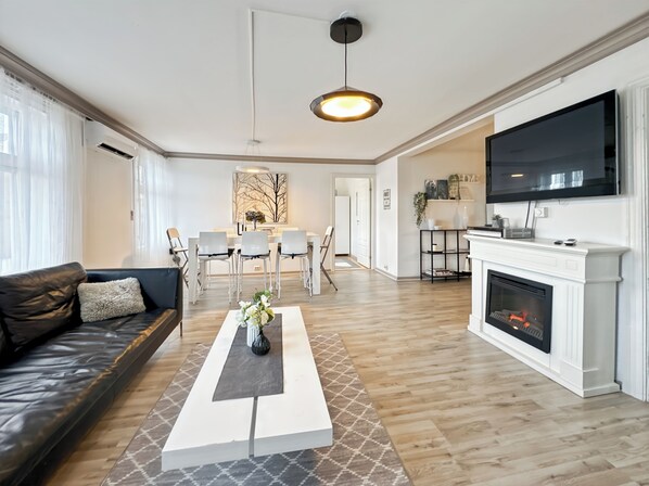 TV, fireplace, books