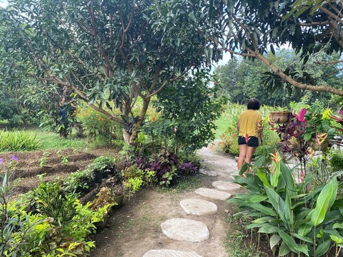 Two-bedroom Farmhouse in a Start-up Organic Farm in Lipa City