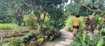 Two-Bedroom Farmhouse in a start-up organic farm in Lipa City