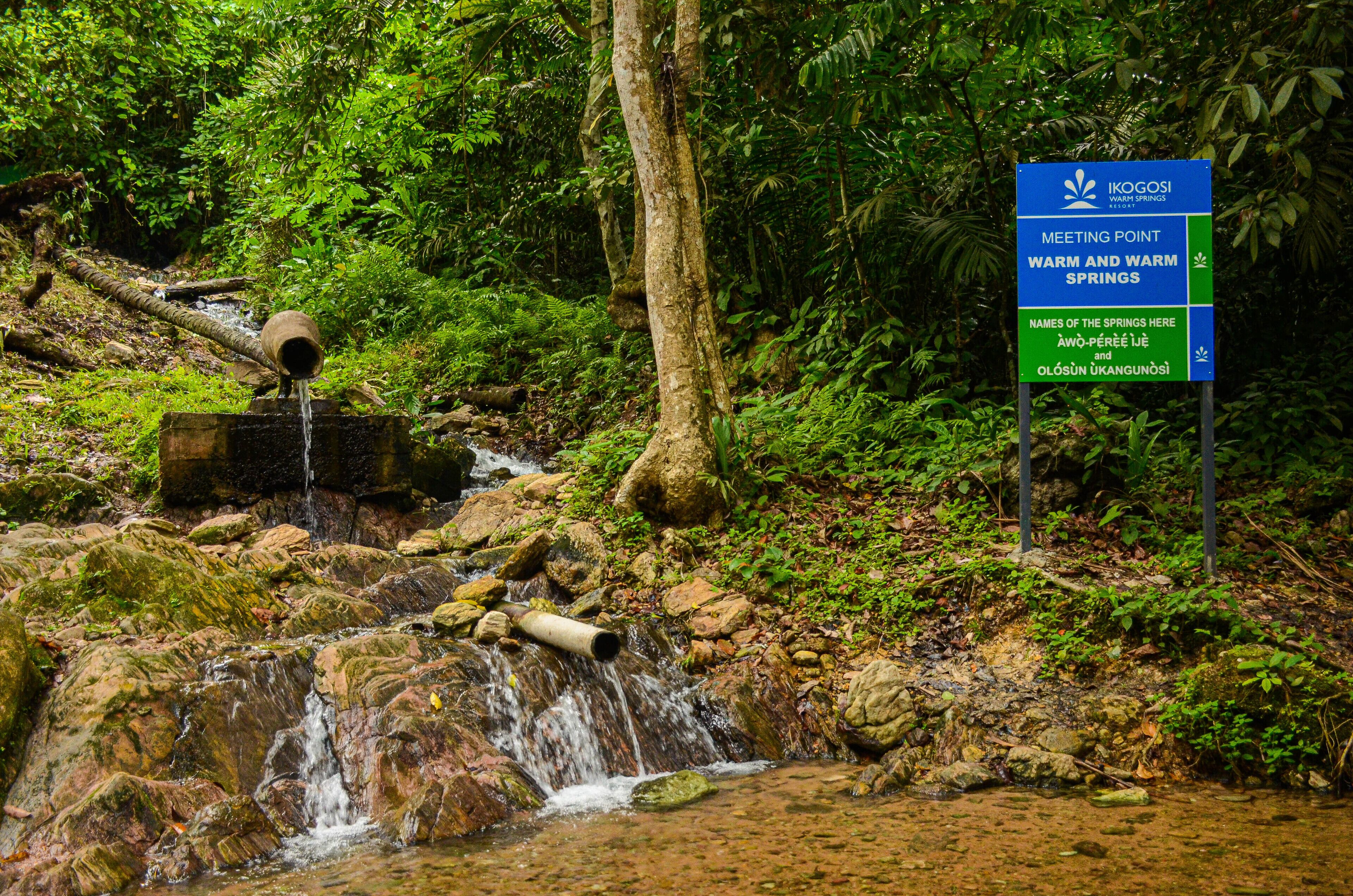 Un entorno natural con un arroyo serpenteando sobre rocas, rodeado de abundante vegetación. Se ve un cartel que indica un punto de encuentro para Warm y Warm Springs, con los nombres de las fuentes termales listados.