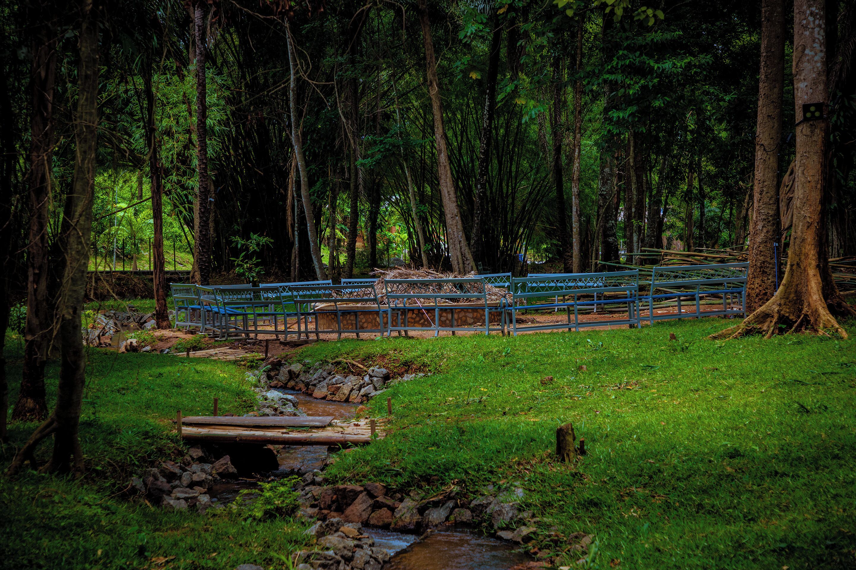 A wooden bridge over a stream in a forested area with benches and a railing.