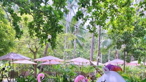 A pool area with inflatable swan and unicorn floats, surrounded by umbrellas and lush greenery. - Playa La Caleta Bataan (Morong)